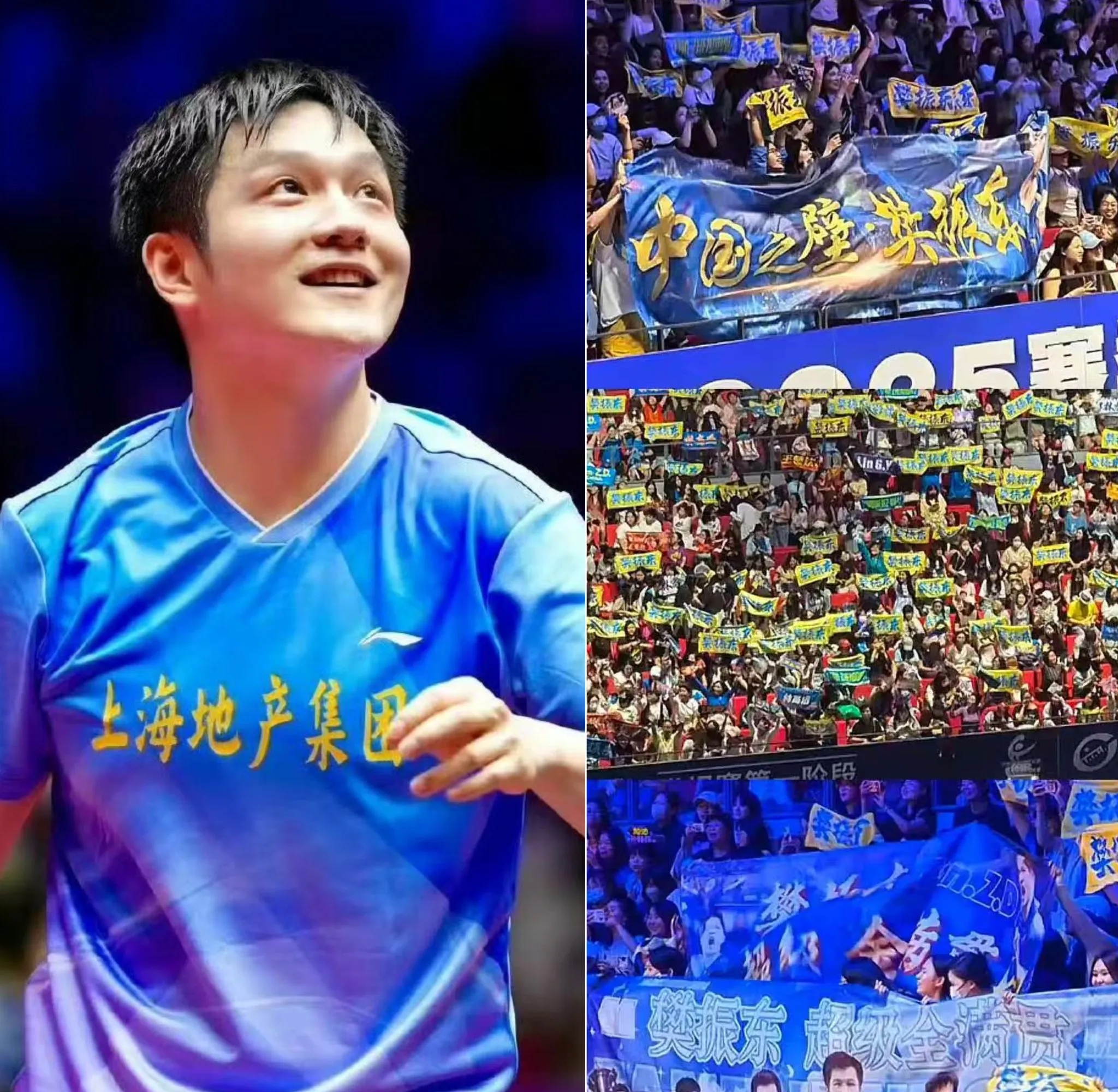 英国乒乓球队轻取韩国乒乓球队，樊振东制霸全场的简单介绍