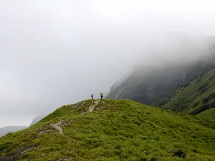 关于绿黑队伍在比赛中斩获胜利,一路领先的信息 关于绿黑队伍在比赛中斩获胜利,一路领先的信息