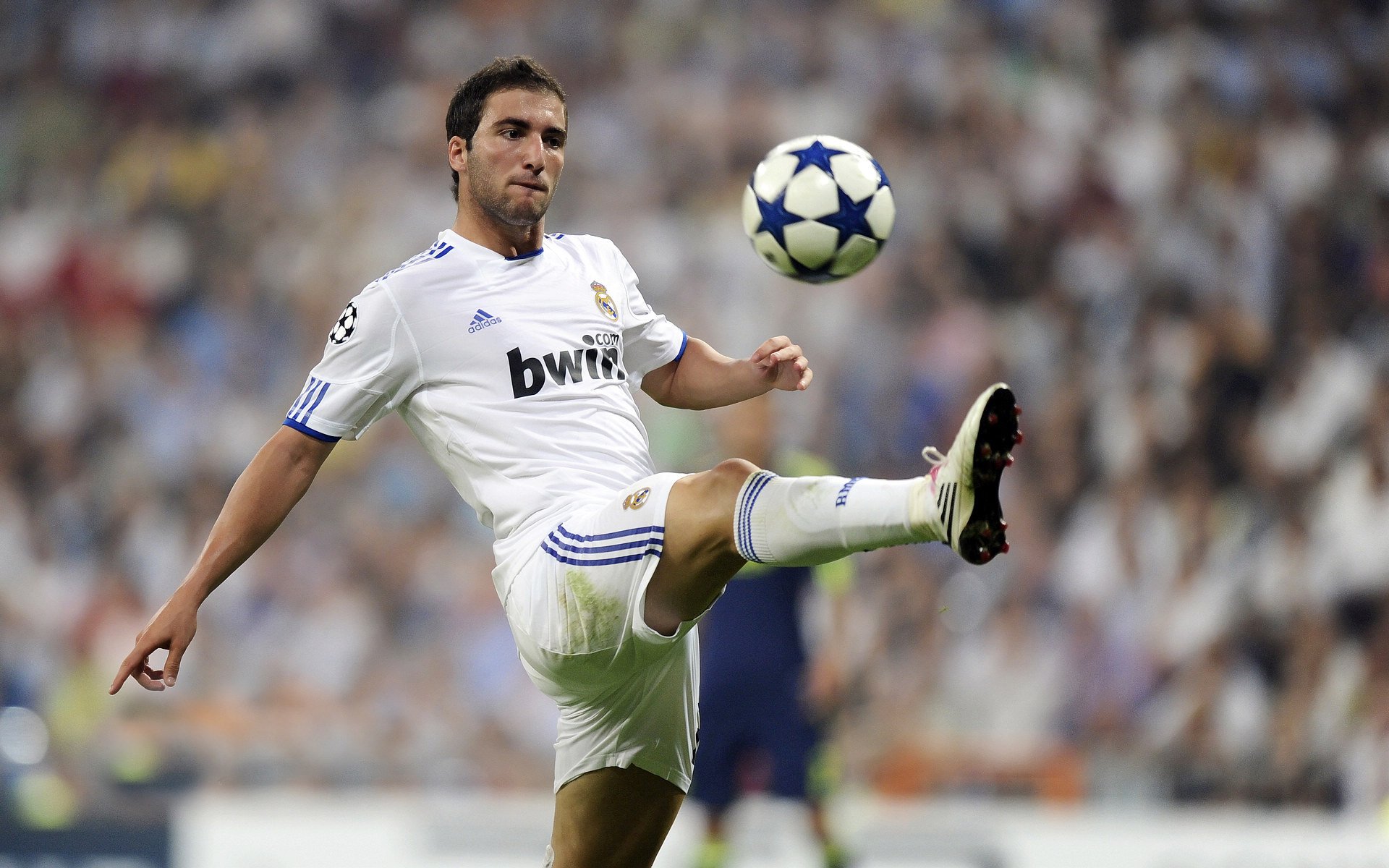 许昕领衔，波兰队如何以黑马姿态碾压法国队？